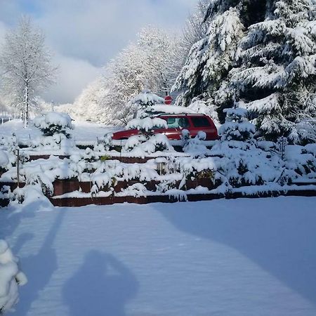 Ferienhaus Rosemarie Breungeshain Zewnętrze zdjęcie